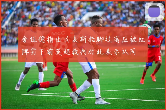 舍伍德指出戈麦斯抬脚过高应被红牌罚下前英超裁判对此表示认同
