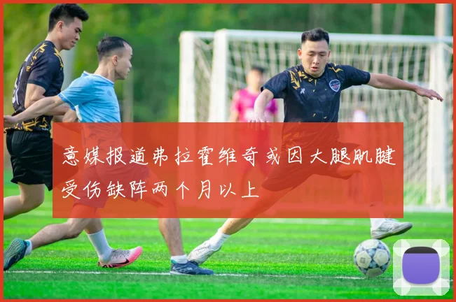 意媒报道弗拉霍维奇或因大腿肌腱受伤缺阵两个月以上